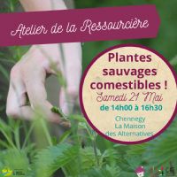 Plantes Sauvages Comestibles. Le samedi 21 mai 2022 à Chennegy, La Maison des Alternatives.  14H30